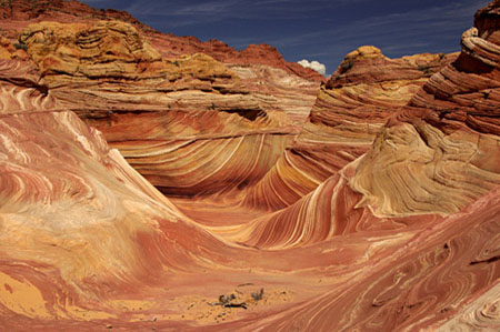 Photo of the Wave, Coyote Buttes